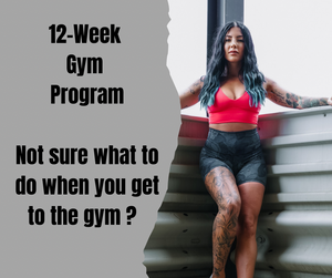 12 Week Gym Program